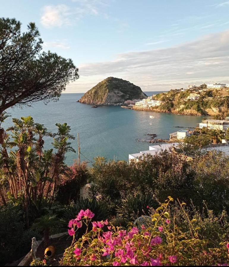 Mare Nostrum - Beachfront House - Sant'Angelo Ischia Екстериор снимка