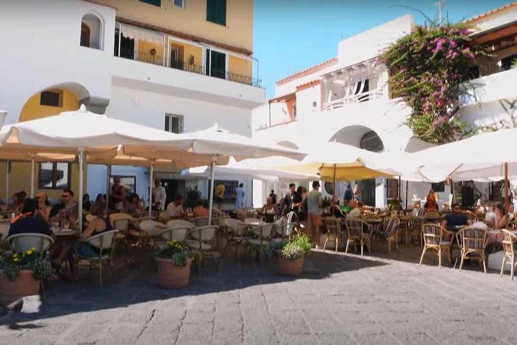 Mare Nostrum - Beachfront House - Sant'Angelo Ischia Екстериор снимка